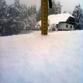 Sneg na Koroškem.