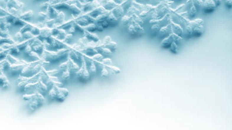 Lepe, a za nekatere rastline smrtonosne.