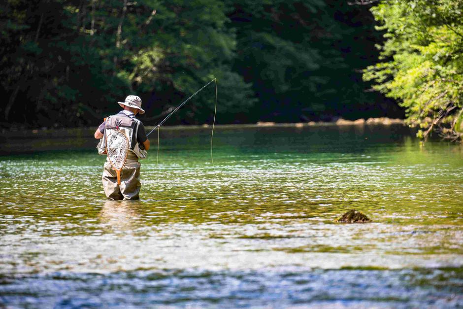 Risnjak | Avtor: Ivo Biočina