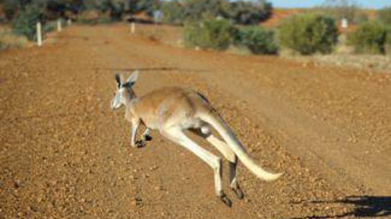 Ne bo mu hudega, le ob moda bo.