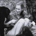 Jane Goodall