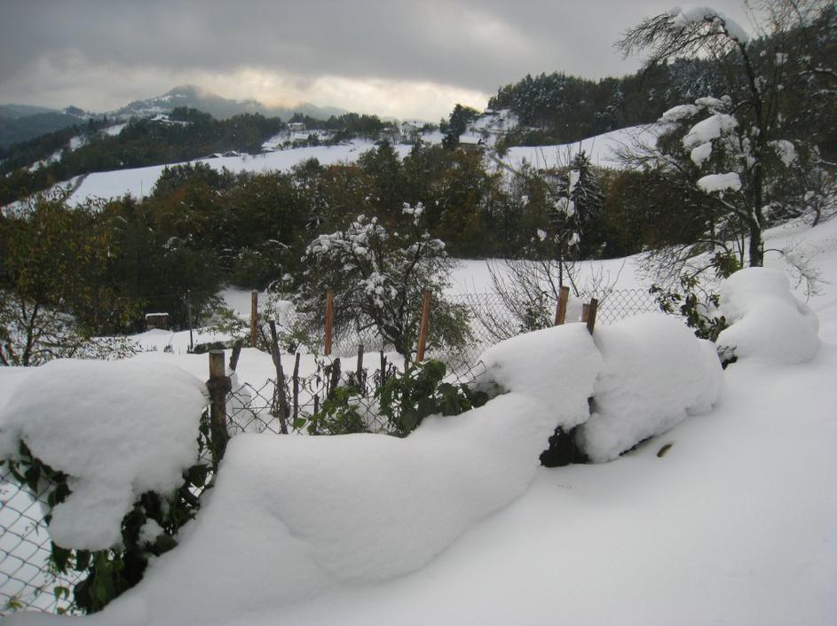 Sneg v Posavju