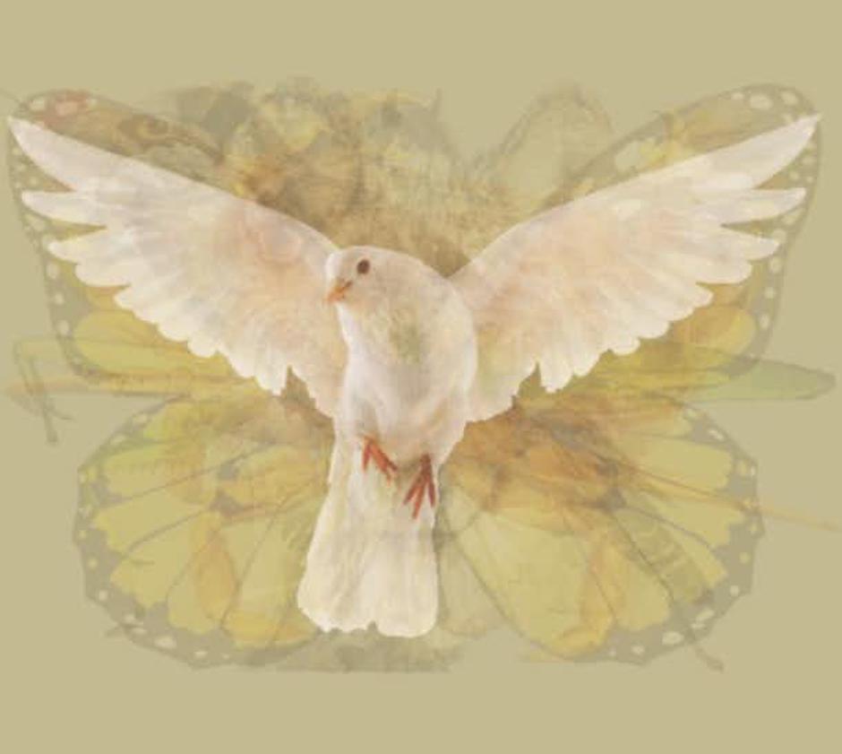 Test | Avtor: Tumblr