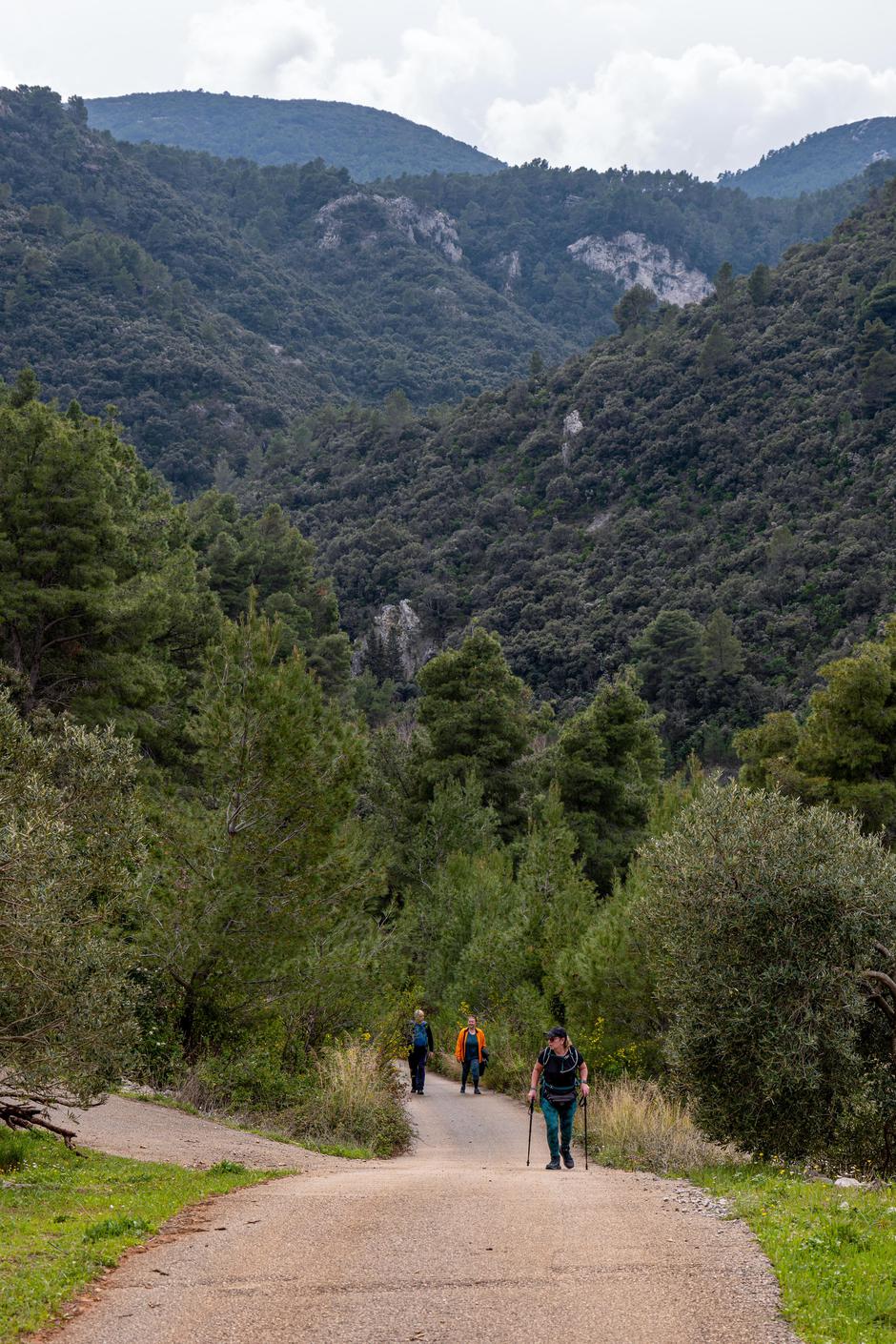  | Avtor: Dimitri Medvedev