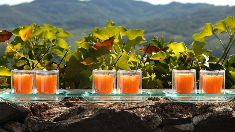 Zemono ni za vsak dan, je za tiste trenutke, ko si človek zaželi biti eno s tren