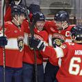 Florida Panthers