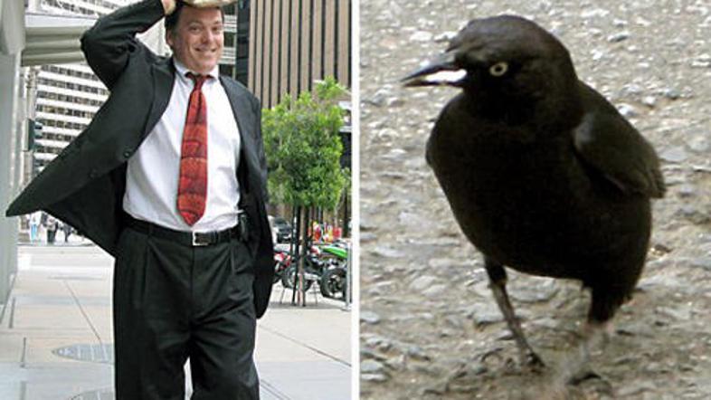 Poslovneži so se morali prilagoditi navadam male srake.