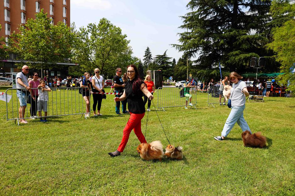Festival za ljubitelje živali 2023 | Avtor: Saša Despot