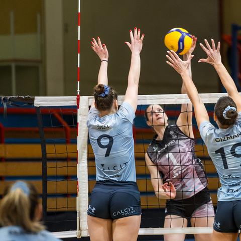 Calcit volley, OTP banka Branik