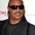 Stevie Wonder