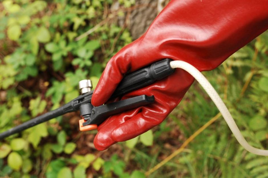 Škropljenje | Avtor: Profimedias