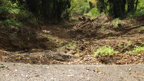 Zemeljski plaz na pobočju Marka nad Šempetrom pri Gorici