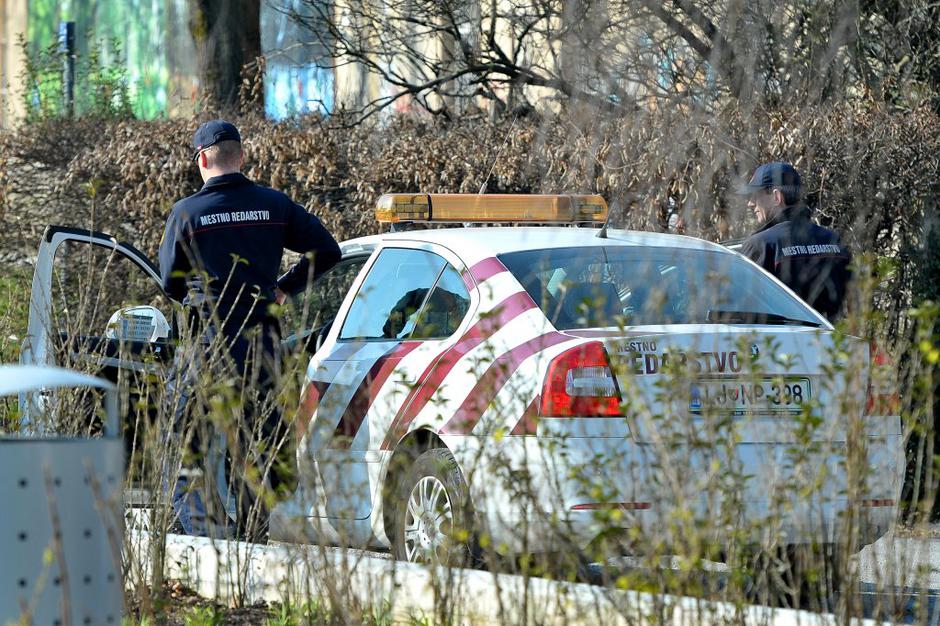 Redar | Avtor: Anže Petkovšek