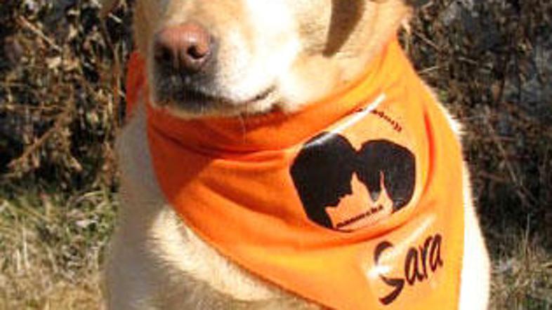 Ambasadorka Sara (Foto: Ambasadorji nasmeha)