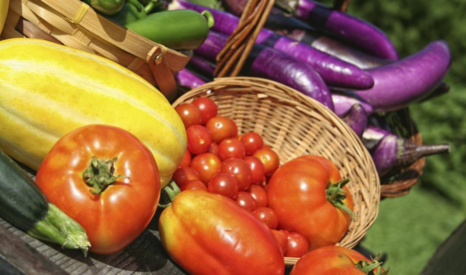 Držite se teh preprostih pravil, pa bo paradižnika in jajčevcev še preveč