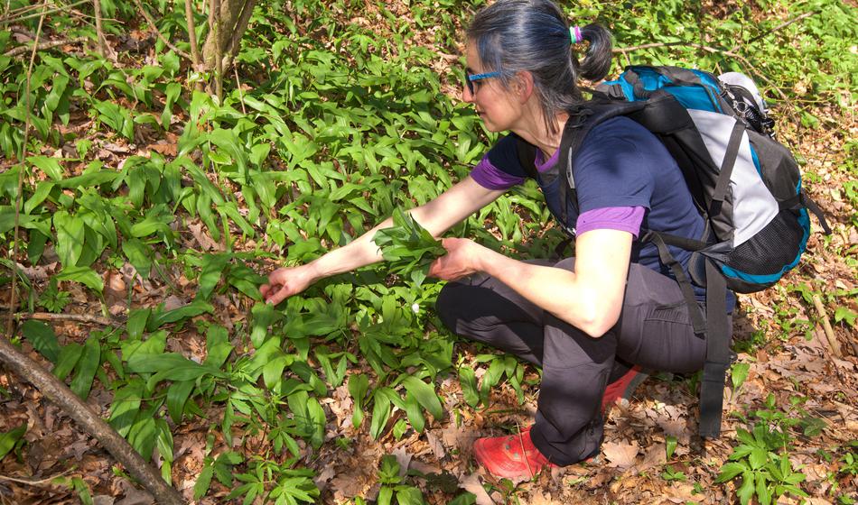 Tragedija pri nabiranju čemaža: Umrli dve osebi