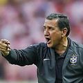 Carlos Alberto Parreira se bo vrnil v Brazilijo.