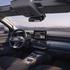 dacia striker