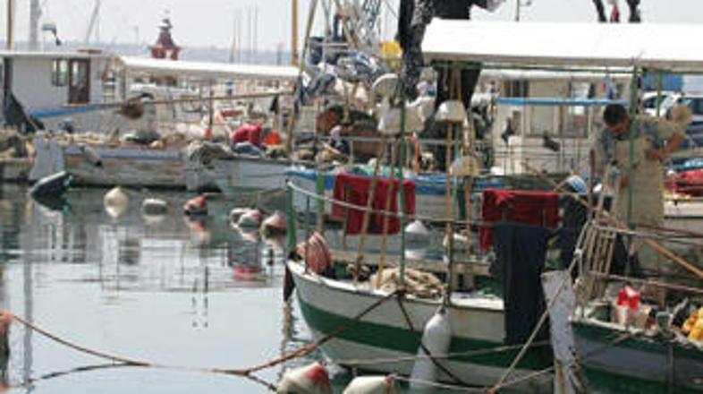 69 odstotkov vprašanih je menilo, da je uvedba ERC doslej Sloveniji povzročila š