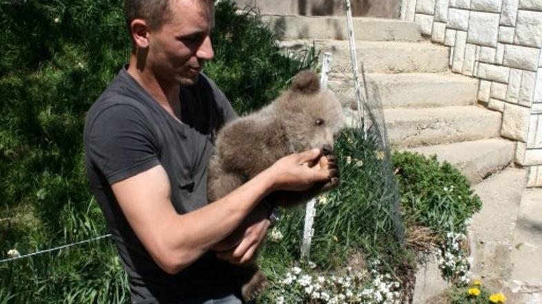 matevž logar,  medved Srečko