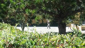 morilec izola streljanje