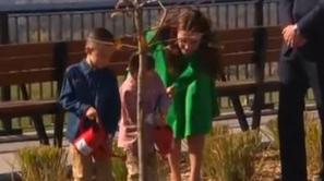 drevo zasaditev William Kate Oliver Sebastian