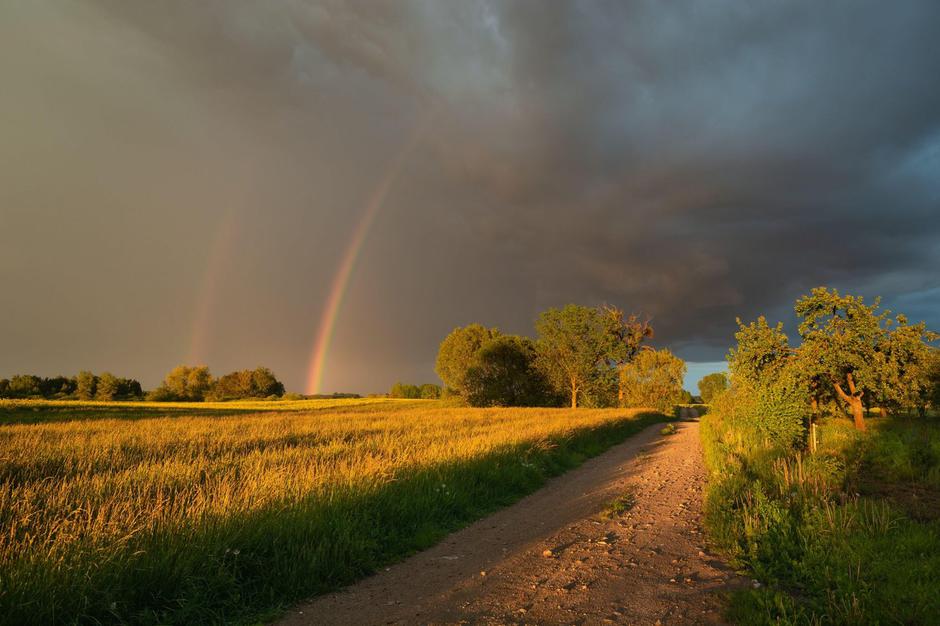 vreme pomlad dež sonce mavrica travnik | Avtor: Profimedia