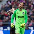 jan oblak