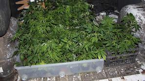 Boštjan Lindav, vodja kranjskih kriminalistov, želi drastično omejiti tudi števi