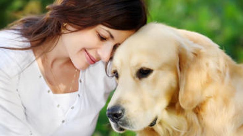 Ne strite srca živalci in sebi, temveč se raje lotite čiščenja in kopanja!