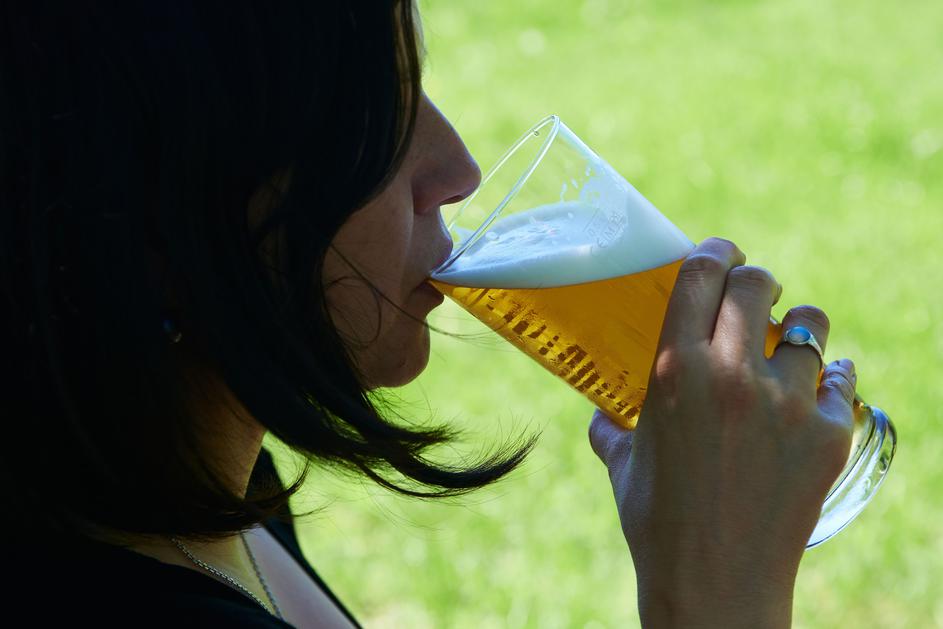 pivo