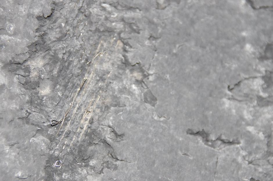 Neizpraven tovornjak | Avtor: Policija