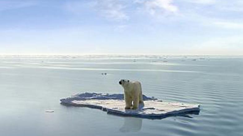 Osamljeni in lačni v morju brez ledu?