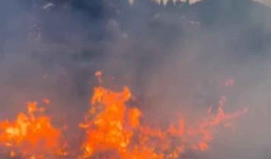 Nekdanji okoljski minister, za zdaj pa član kabineta svetuje požige v naravi
