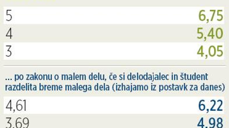 (Foto: Študentski servis Študent)