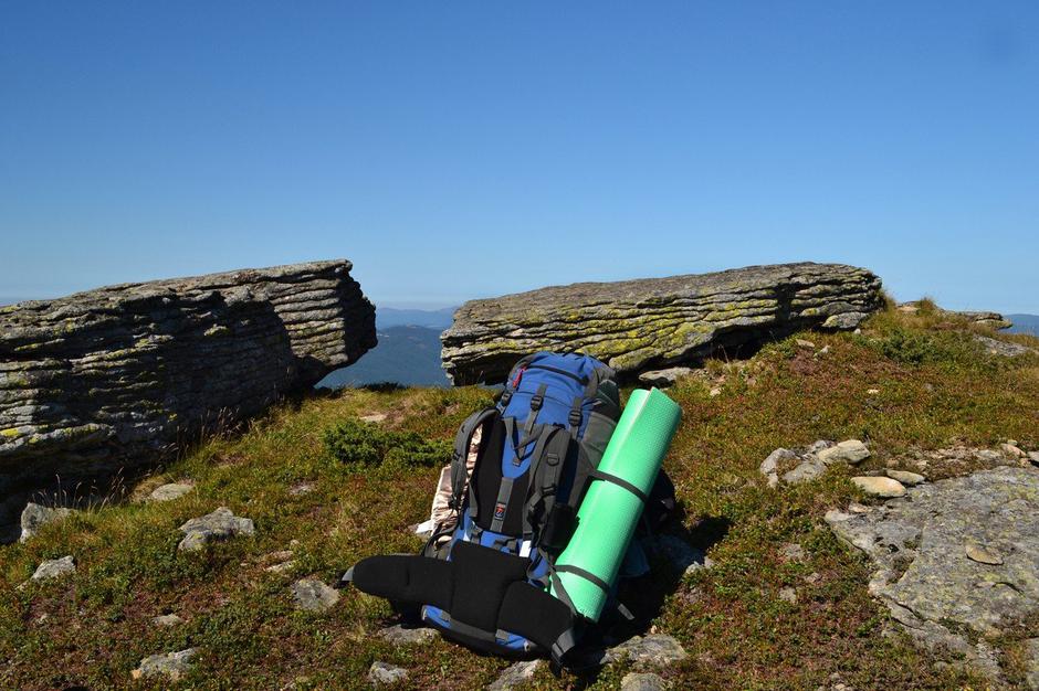 nahrbtnik gore hribi | Avtor: Profimedia