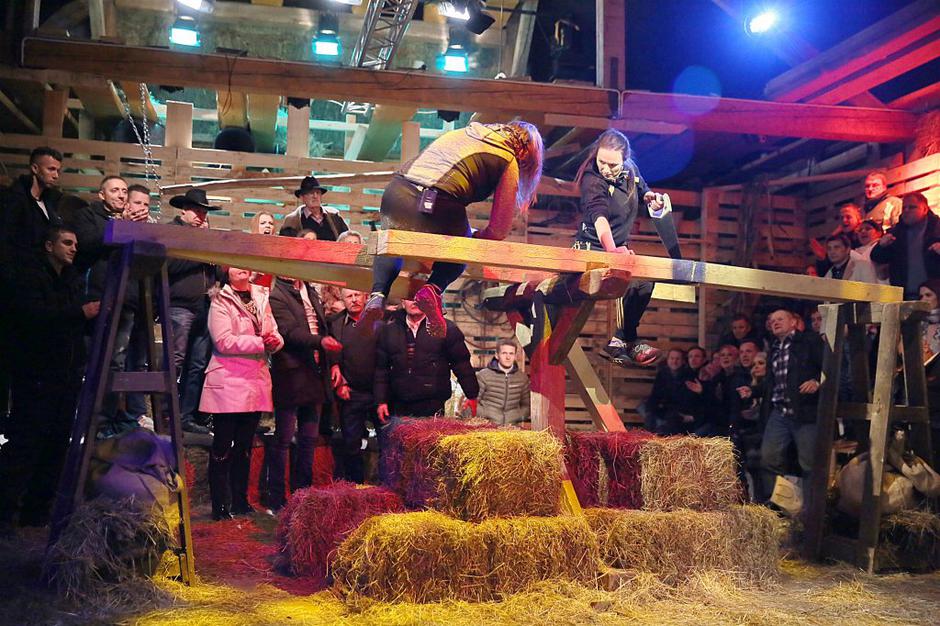 knz2016 | Avtor: Saša Despot