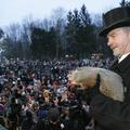 groundhog day