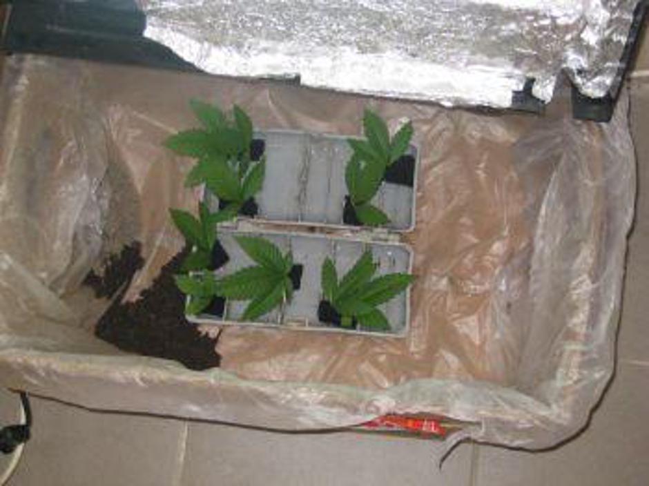  | Avtor: Žurnal24 main