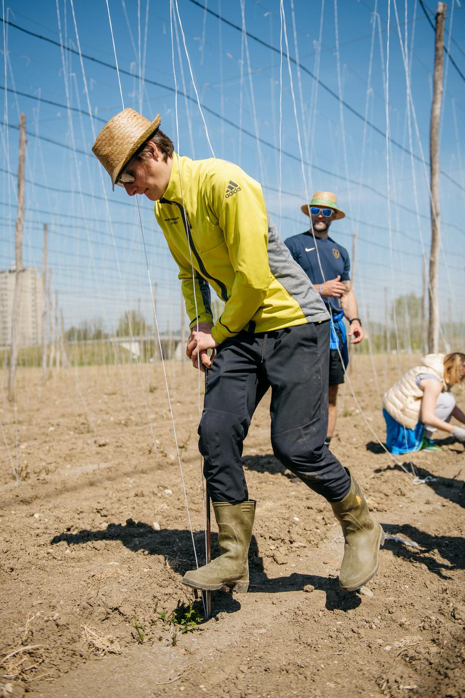 Pivovarna Laško | Avtor: Pivovarna Laško