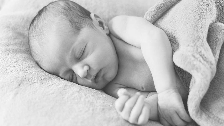 Marika Savšek, Nikolina