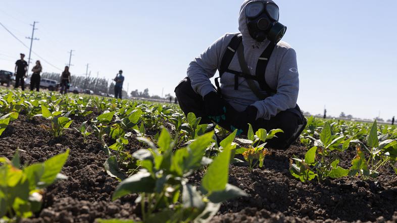 Onesnaženje poljščin