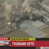 Potres in cunami na Japonskem