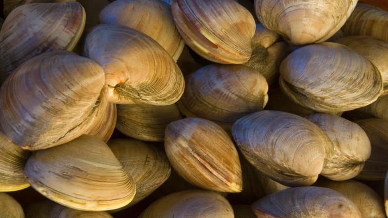 Hrvaško kmetijsko ministrstvo je na svojih spletnih straneh opozorilo na nevarno