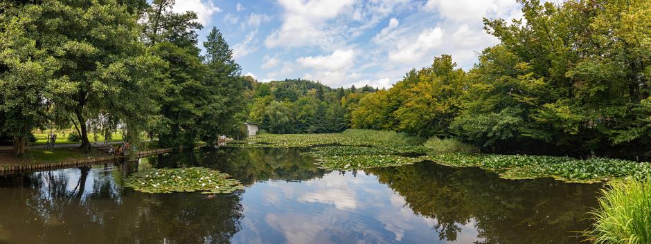 Tivoli | Avtor: Profimedia