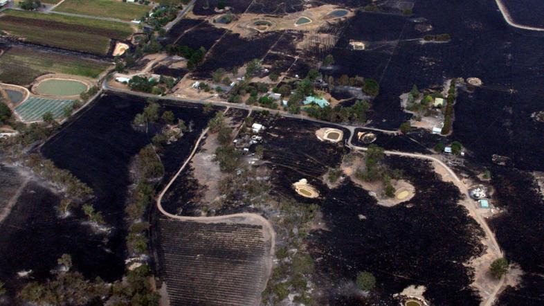 Požari so doslej opustošili že več kot 450.000 hektarov površin. Poleg ogromne p