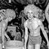 studio 54