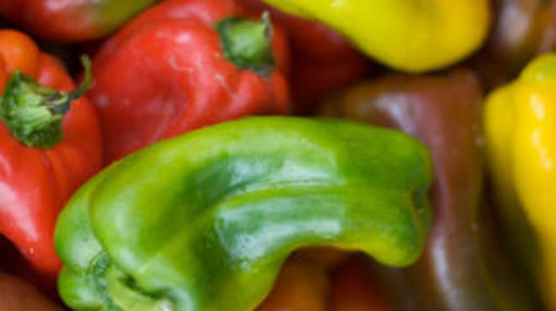 Potrošniki imajo od zdaj možnost izbirati med najširšo možno ponudbo proizvodov.