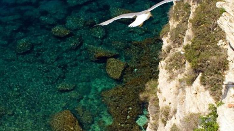 Gorata in uporniška Korzika ima več kot tisoč kilometrov dolgo obalo.