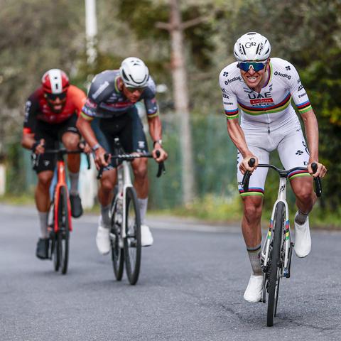 Pogačar Van der Poel